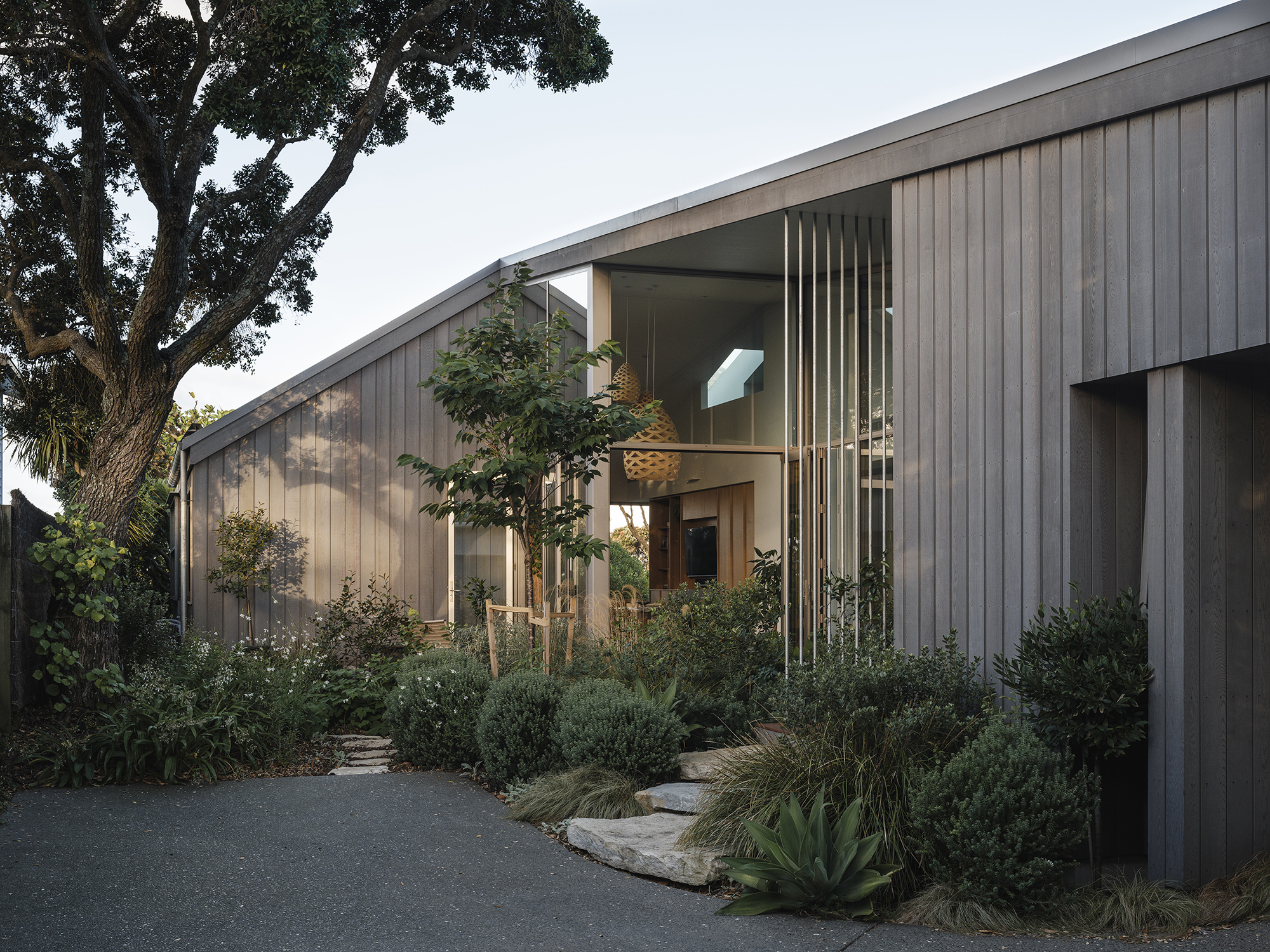 Treefold residence — vertical timber cladding under a pōhutukawa, layered native garden in the foreground